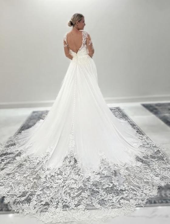 Cathedral length Lace and Chiffon full sleeve V neck backless bridal dress