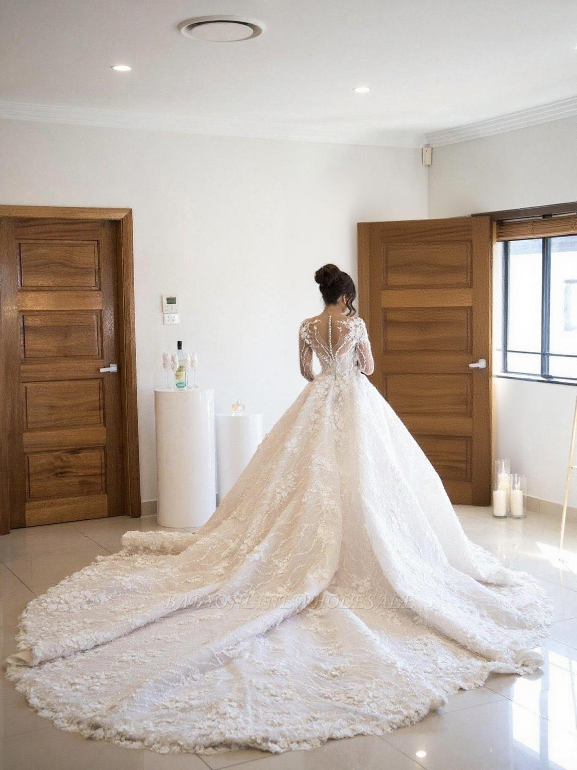 Cathedral length Floral lace style v neck long sleeve floor length bridal dress with veil